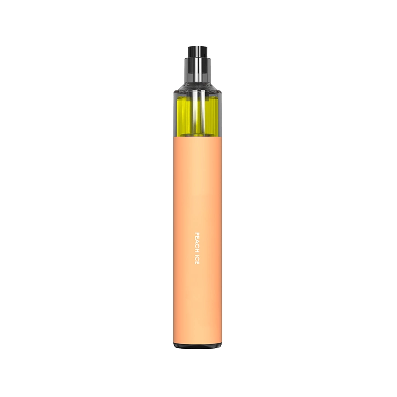 China Electrónica de cigarrillos Fabricante Vapeez OEM Vaporizer desechable VAPE Pen