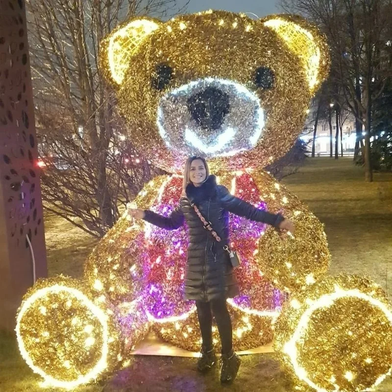 Teddy Bear Motif освещение полярные животные LED освещение Рождество Санта Праздничные декорации