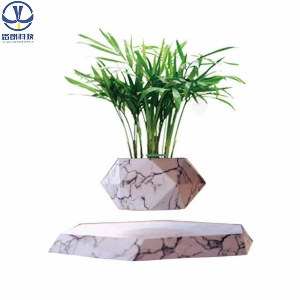 Magnetic Levitation Rotating Bonsai Wooden Floating Plant Display Stand