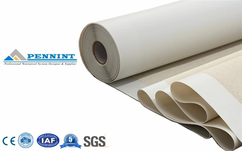 High Polymer Pre-Applied HDPE Waterproofing Membrane for Basement Projects