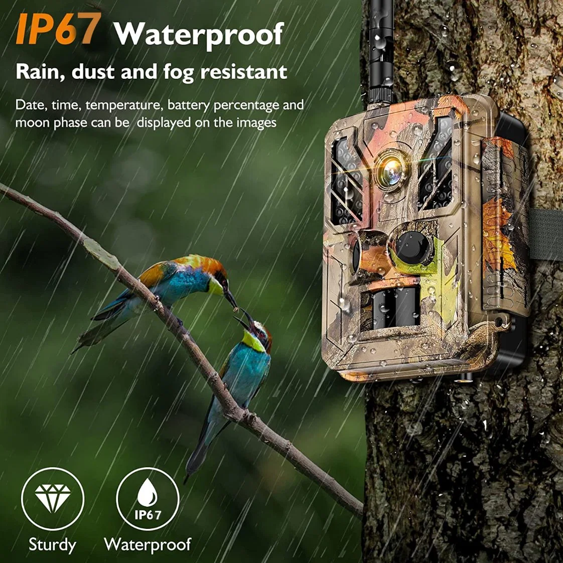 4G SIM Card APP Outdoor Scouting Camera for Animal