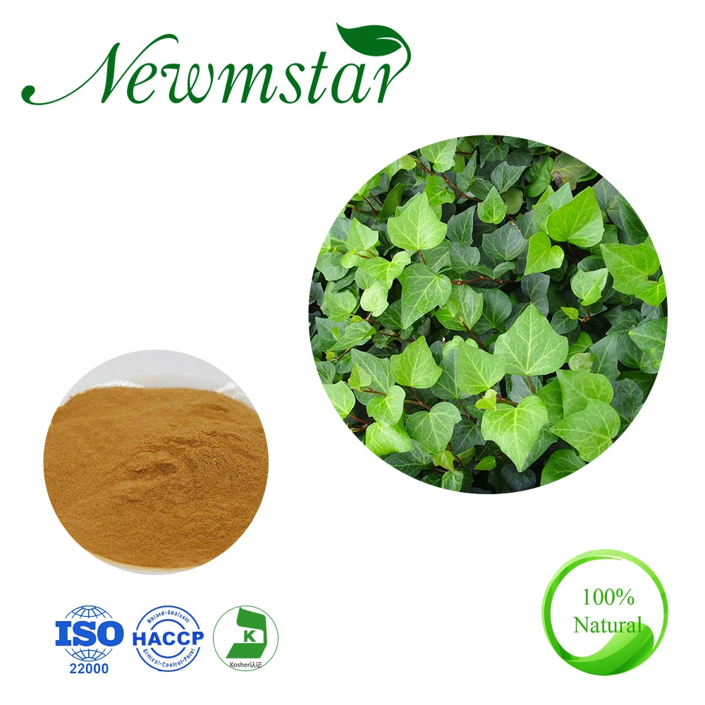 Suministro de fábrica Extracto Natural de Hedera Hemix Leaf/Extracto de IVY Leaf