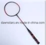 Entertainment Iron Badminton Rackets Set in Good Price