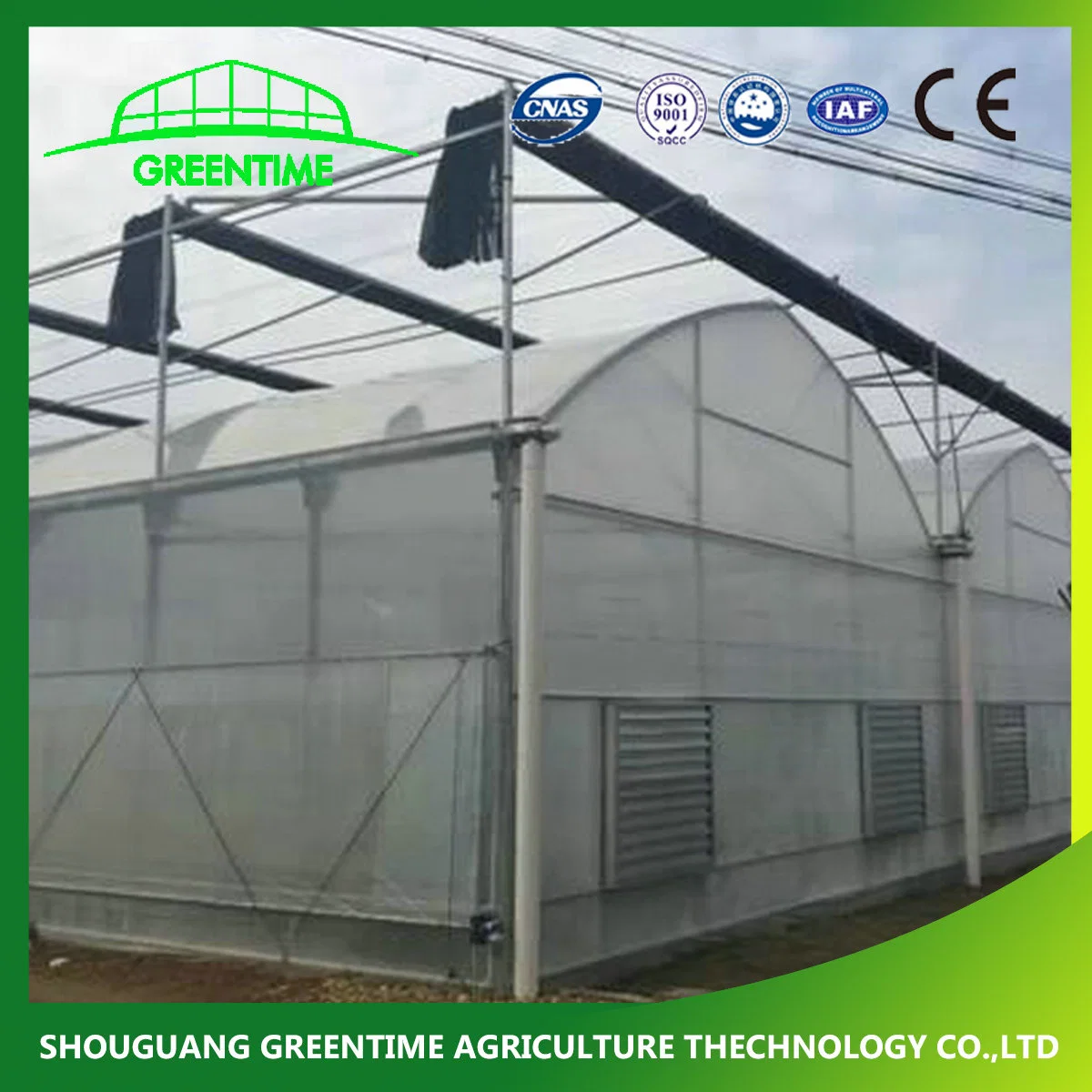 Hot Sale Arch Type PE/Po Film Agricultural Greenhouse for Tomato/ Pepper Planting