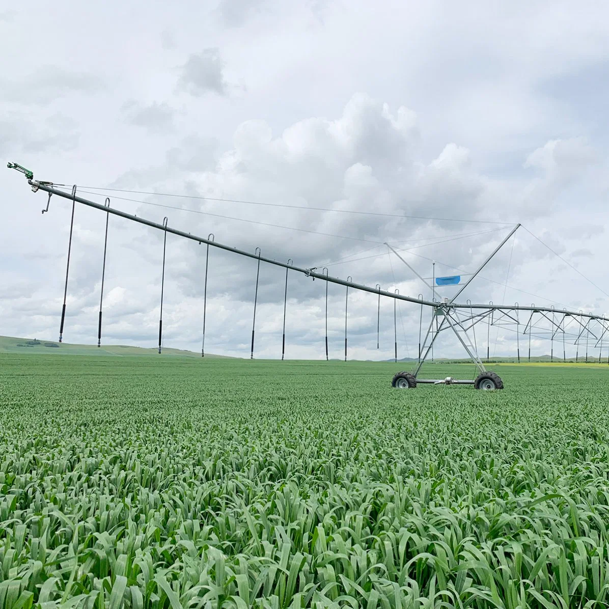 Central Pivot Sprinkler Irrigation Machinery for Large Corn Field