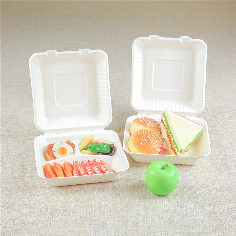 Bagasse Packing Biodegradable Sugarcan Cardboard Food Packaging Container