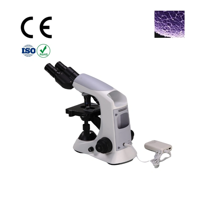 Instrumento de laboratorio Thrinocular Microscopio con condensador Abbe