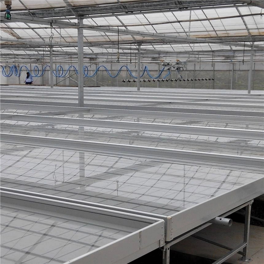 Carbon Steel Wire Plastic Sheet Growing Systems Equipment Horticulture Rolling Bed with Low Price Xinhe