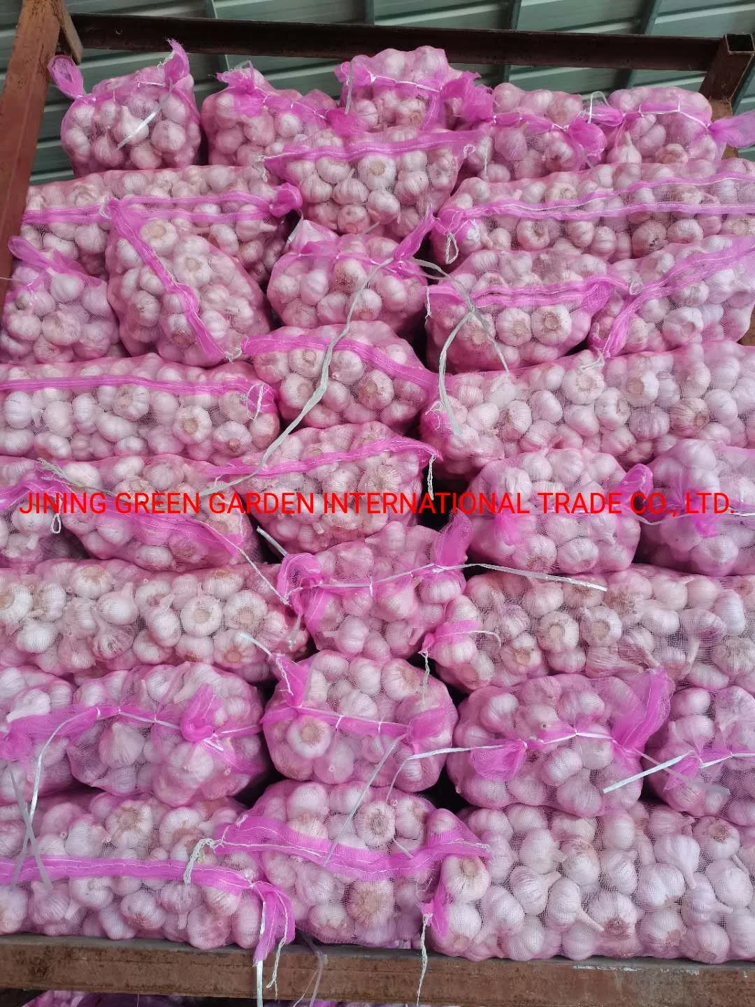 2022 New Crop Fresh White Garlic Farm, 2021 New Crop Mesh Bag Carton Pack by 3PC, 4PC, 5PC, 6PC, 7PC, 500g, 1kg, 3kg, 5kg, 10kg, 20kg Vary Size White Garlic