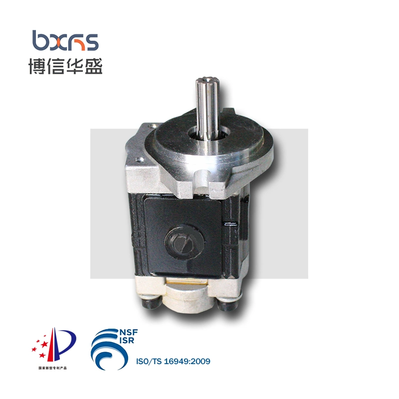 Cbhs-F20 Series Hydraulic Aluminum Gear Rotary Pump for Electric Forklift