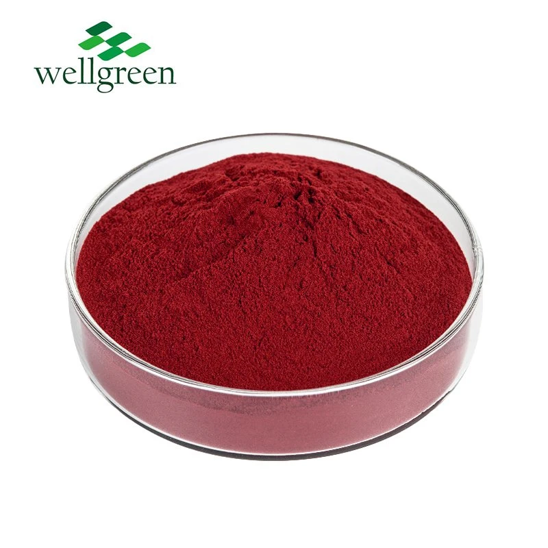 Tomato Extract Powder Organic Lycopene 10% Red Powder