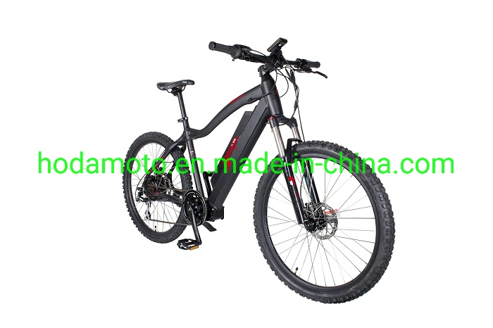 Cheap New Electric Bicycle Ebikes 250W