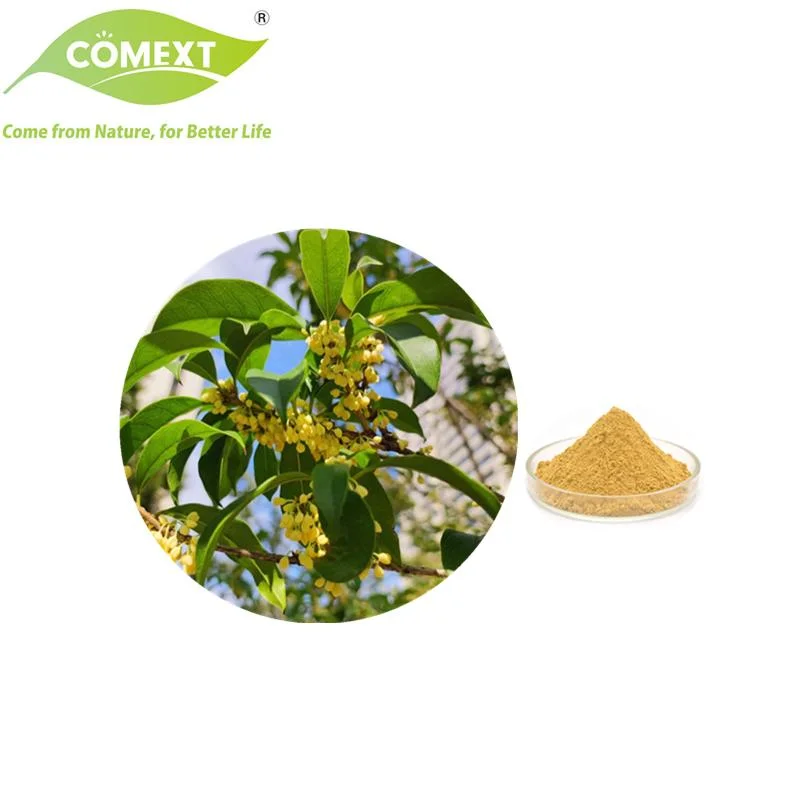 Comext Free Sample Best Price High-Quality Food Grade Wholesale/Supplier Osmanthus Flavor Powder