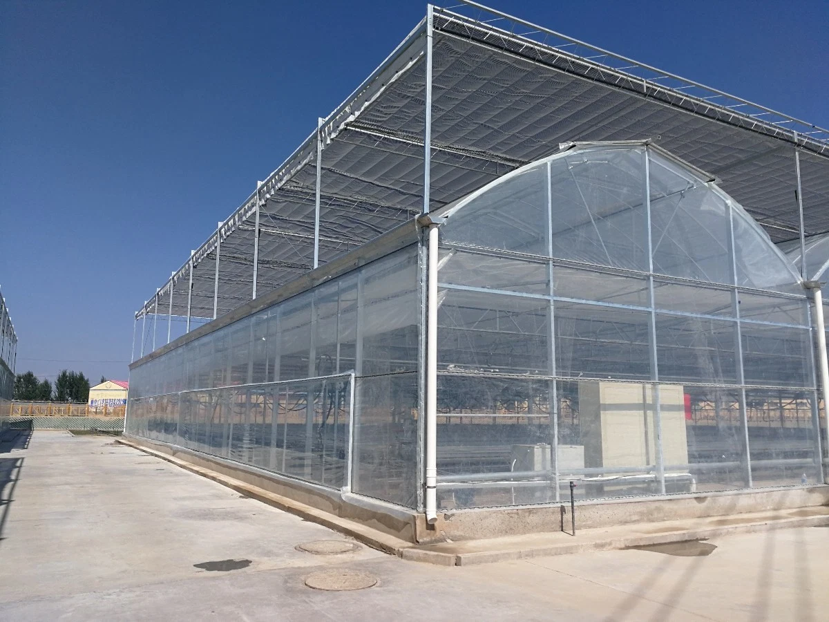 Smart Multi-Span Arch Type Film Agriculture Greenhouse for Vegetables with Hydroponics Growing System for Tomato Cultivation Image