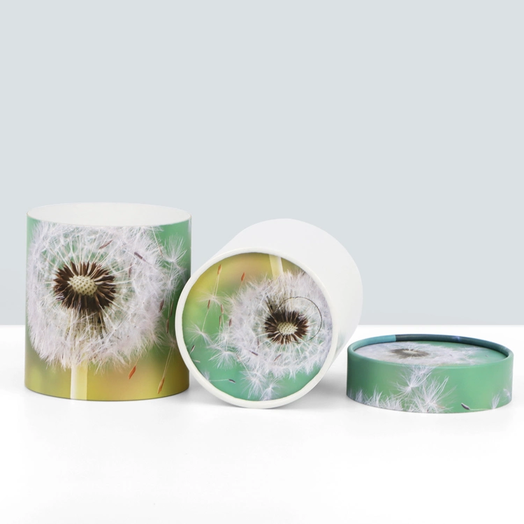 Firstsail Wholesale/Supplier Custom Bio Dandelion Printed Paper Scatter Tube Funeral Pet Ashes Urn Modern Style