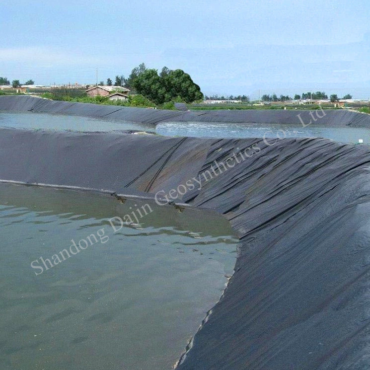 0.5mm 0.75mm 1.0mm 1.5mm 2.0mm White Black Green Blue Smooth Textured HDPE Waterproof Geomembrane for Dam Liner in Kenya Fish Farm Shrimp Pond Liner