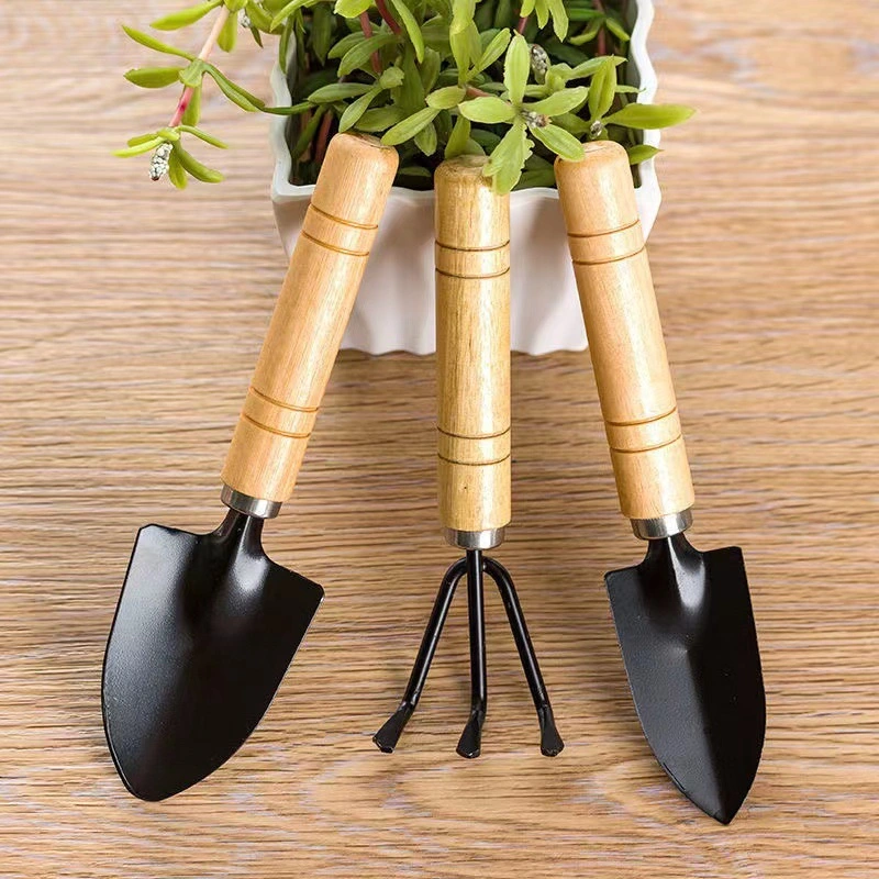 Good Quality 3 Pieces Bonsai Tools Set Wholesale/Supplier for Gardening Convenient Mini Garden Tools