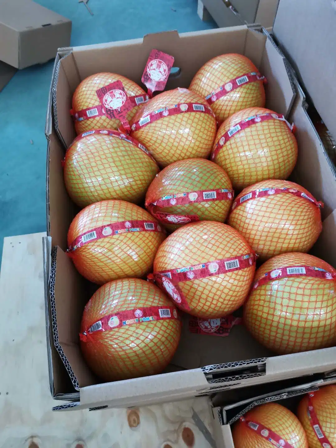 Wholesale/Supplier Chinese Sweet Honey Pomelo Natural White