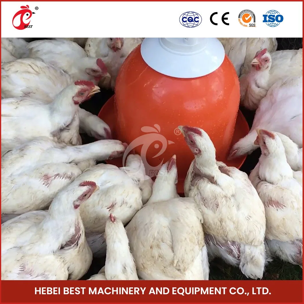 Production de poulets de chair Bestchickentage Bell Drinker Chine volaille Trigger Drinkers Fabrication Échantillon gratuit de poulet à la pointe lisse en plastique