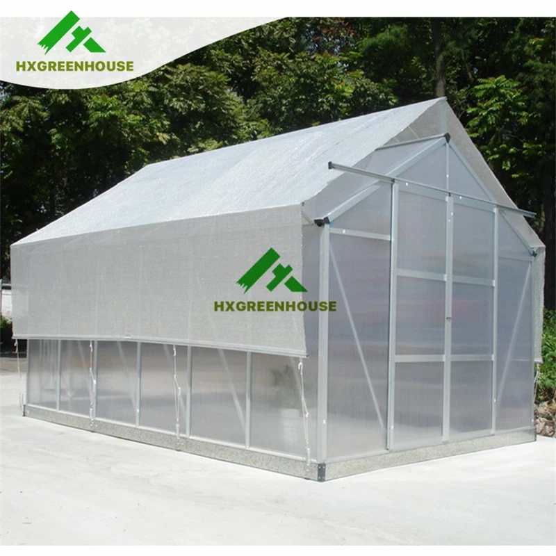 Bon marché large 10m isolé profil aluminium Green House Metal Frame Singlespan Chine tomates Agriculture Greenhouse