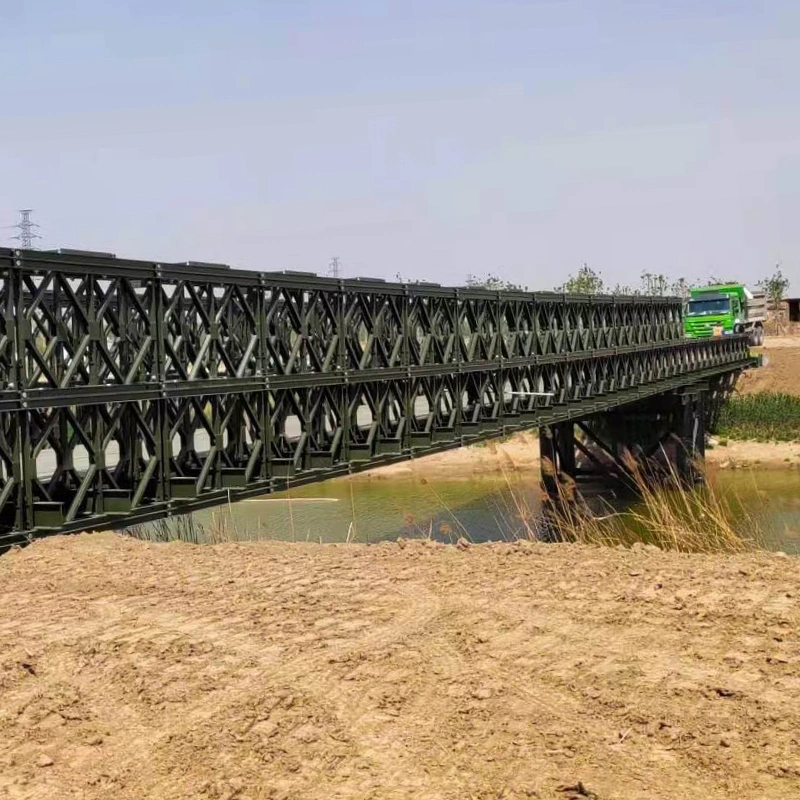 Professional Prefabricated Steel Bridge for Sale