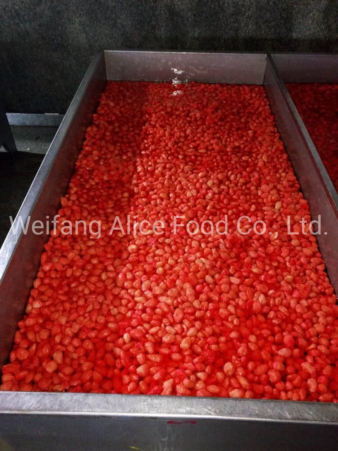 Sweet and Sour Candied Preserved Strawberry Fruits Manufacturer Dried Strawberry