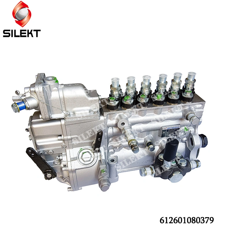 Diesel Pump 612601080379 High Pressure Oil Pump Ebhf6pH Wd618 Engine Common Rail Fuel Injection Pump