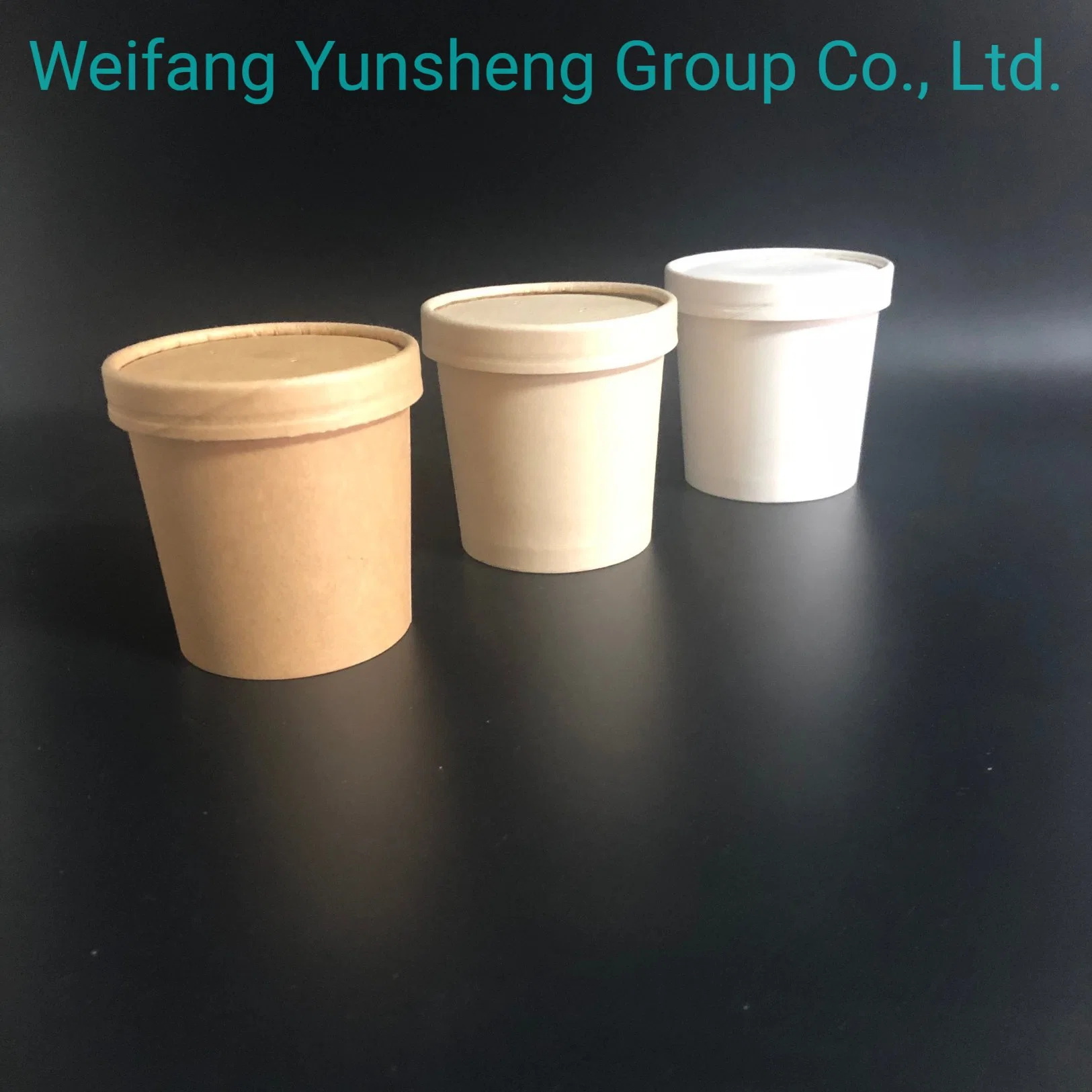 Soup Cup/Container with Lid Soup Take Away Containers Disposable Tableware Manufacturer