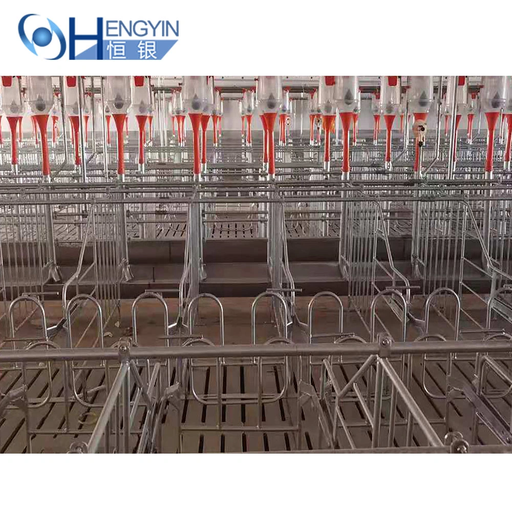 Pig Breeding Cage Automatic Systems for Pigs Farm