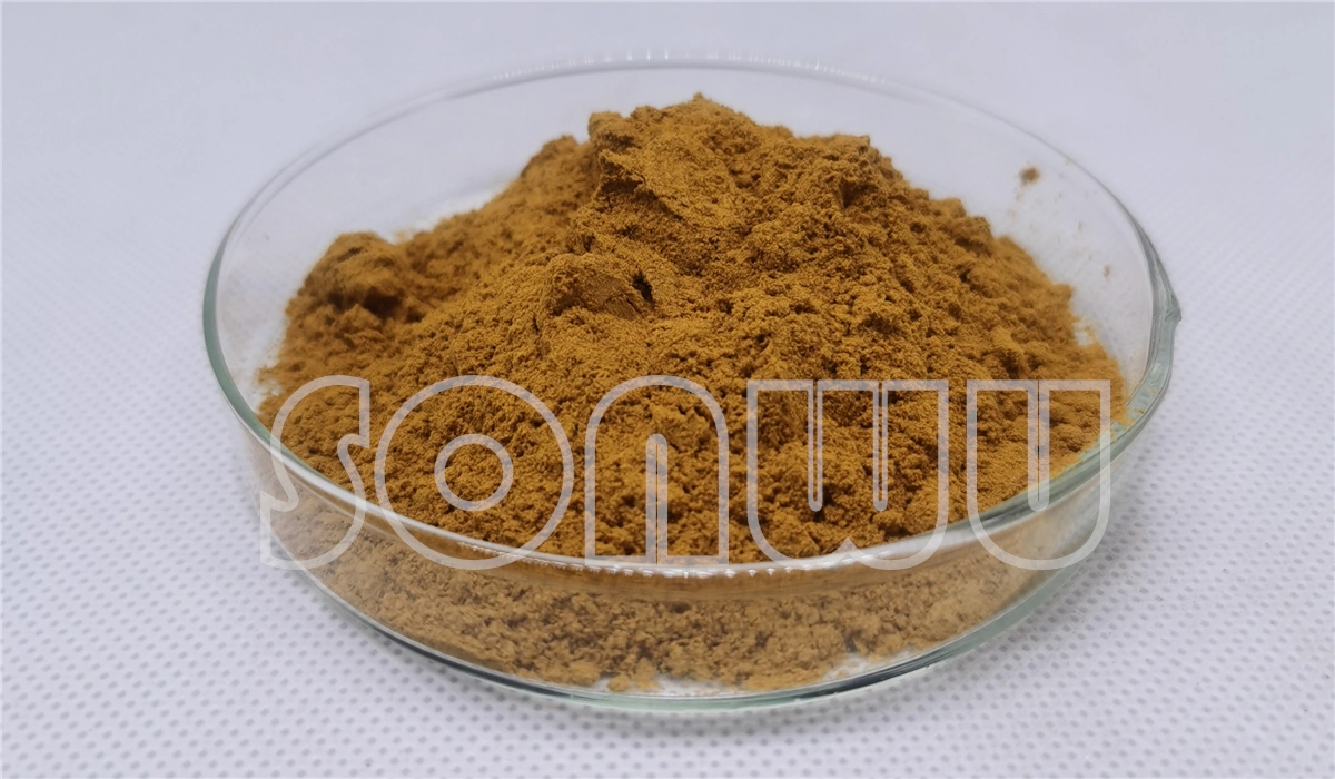 Sonwu Supply 2% Lotus Leaves Extract Nuciferine for Loss Weight