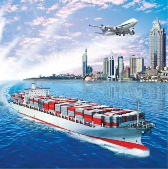 Best Freight Forwarder Agent for China Customs Clearing