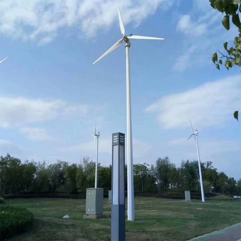 Возобновляемые источники энергии с низкой скоростью 5 Квт по горизонтальной оси ветровой турбины генератора
