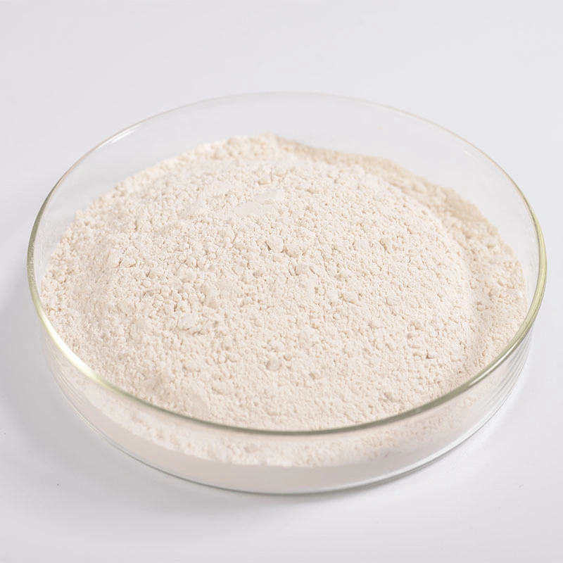 Pure Natural Resveratrol Powder 10% 50% 98% Giant Knotweed Extract