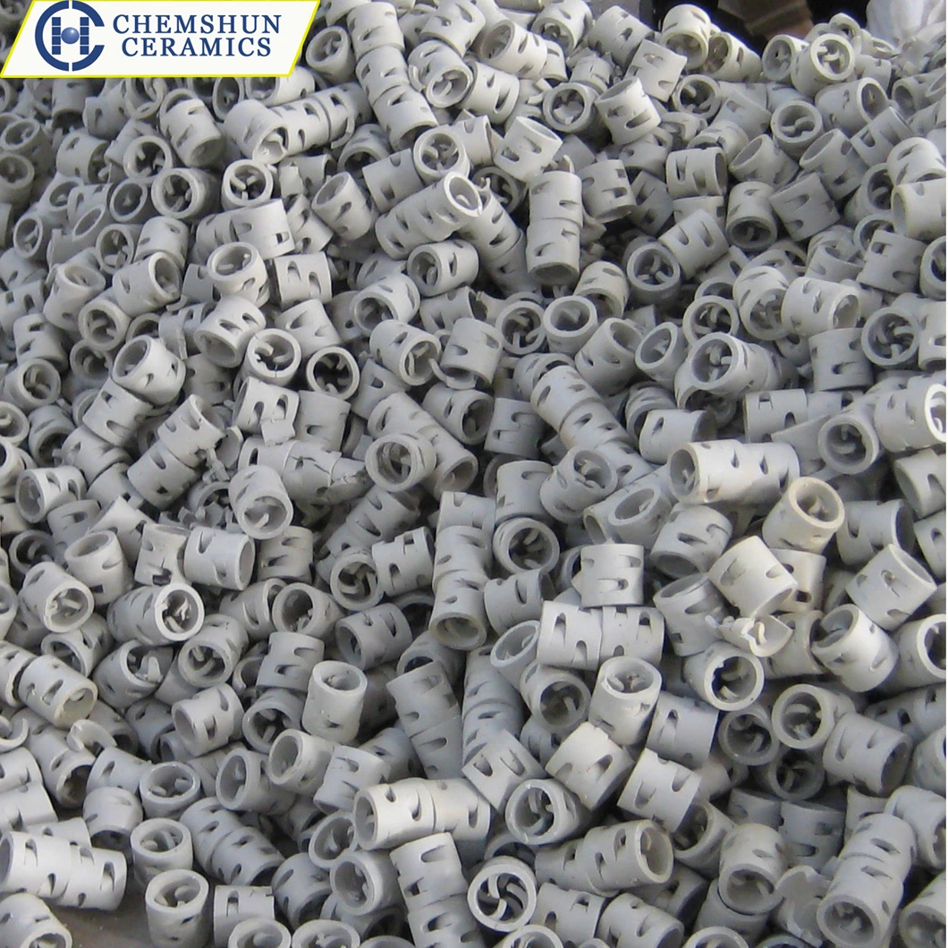 25, 38, 50, 75mm Ceramic Pall Ring Packing in Stock Factory Price