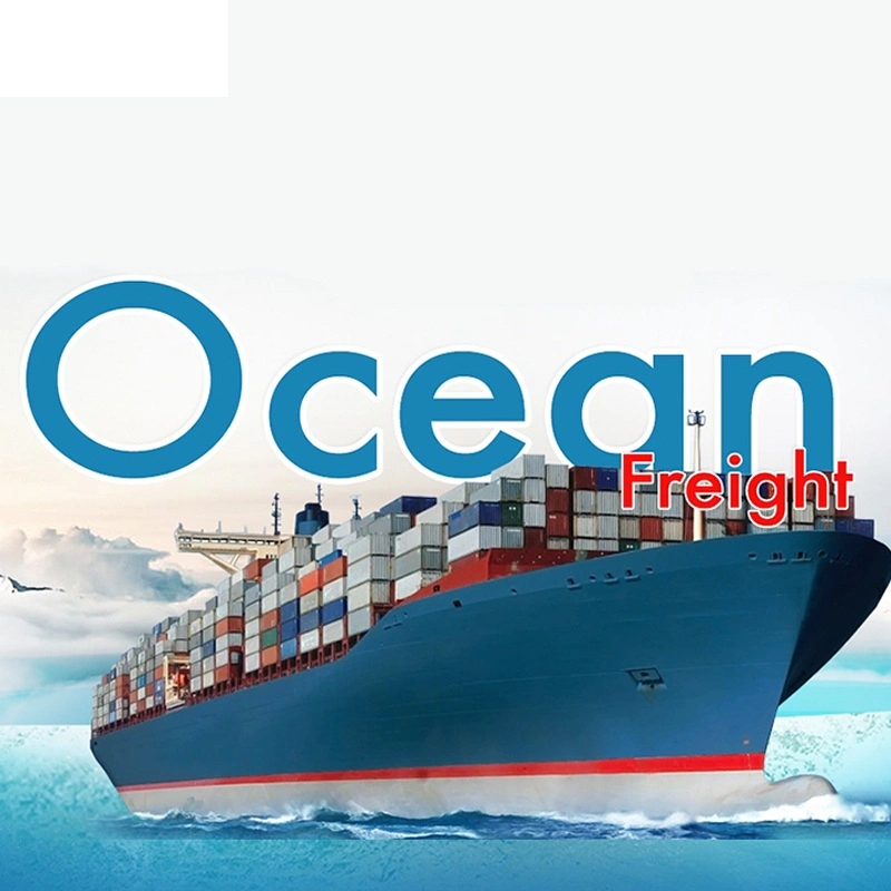 Air Sea Shipping China to India/Algeria/Kenya/ Argentina Chile Peru Fba Shipping Freight Forwarder