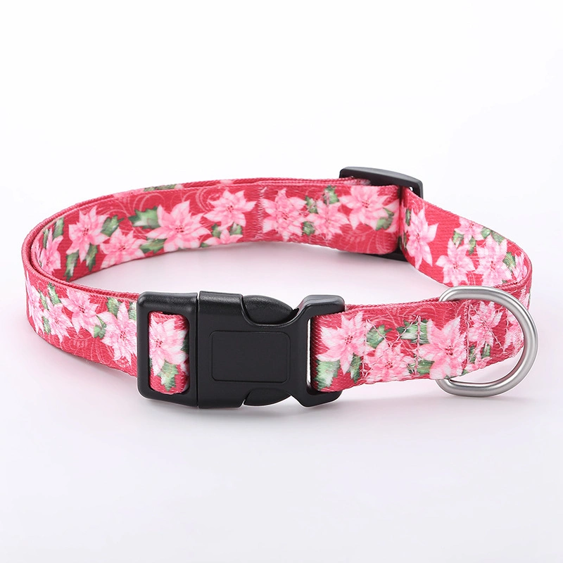 Hot Sale Pet Training Collar Nylon Dog Belt