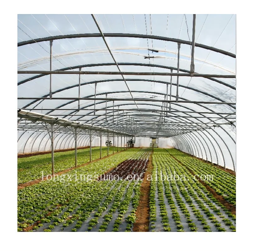 High quality/High cost performance  Greenhouse Film Po 150mic Clear Greenhouse Film Poly Film 200mic Thickness for Agriculture