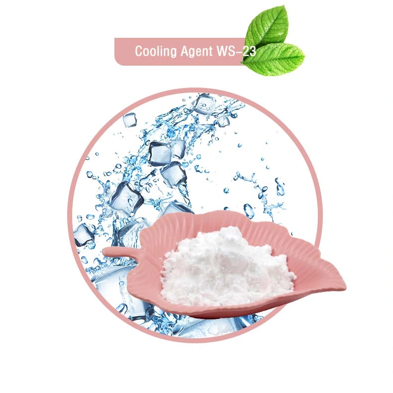 Vape e liquide de refroidissement en poudre Agent WS-3 39711-79-0 SAE