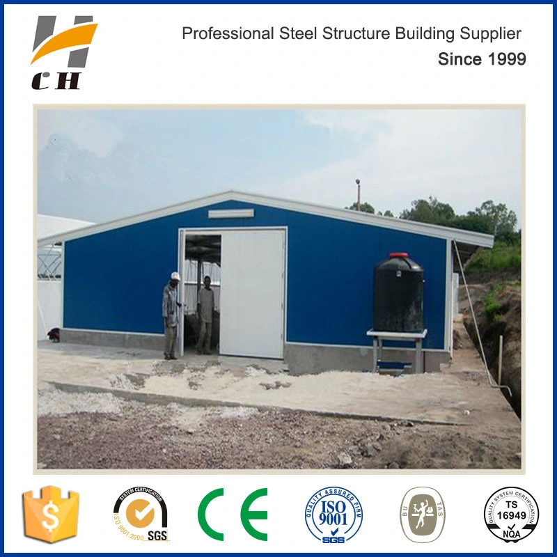 Prefab Low Price High quality/High cost performance  Steel Structure Cage Rearing Poultry Farm/Shed/House/Building for Africa