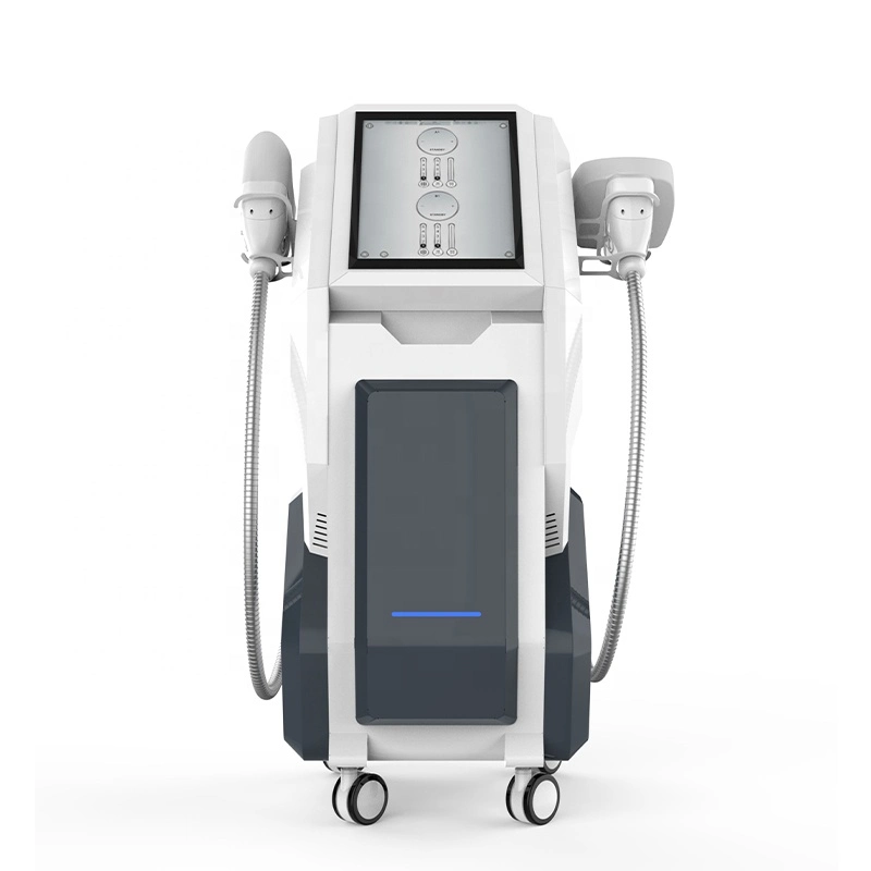 High Quality Body Shaping Fat Freezing Machine Cryolipolysis with 2 Handles Price