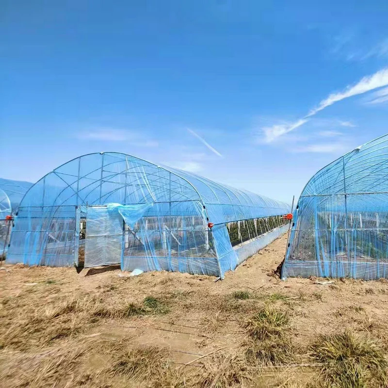 Agriculture Single Span High Tunnel Greenhouse Plastic Cover for Sale