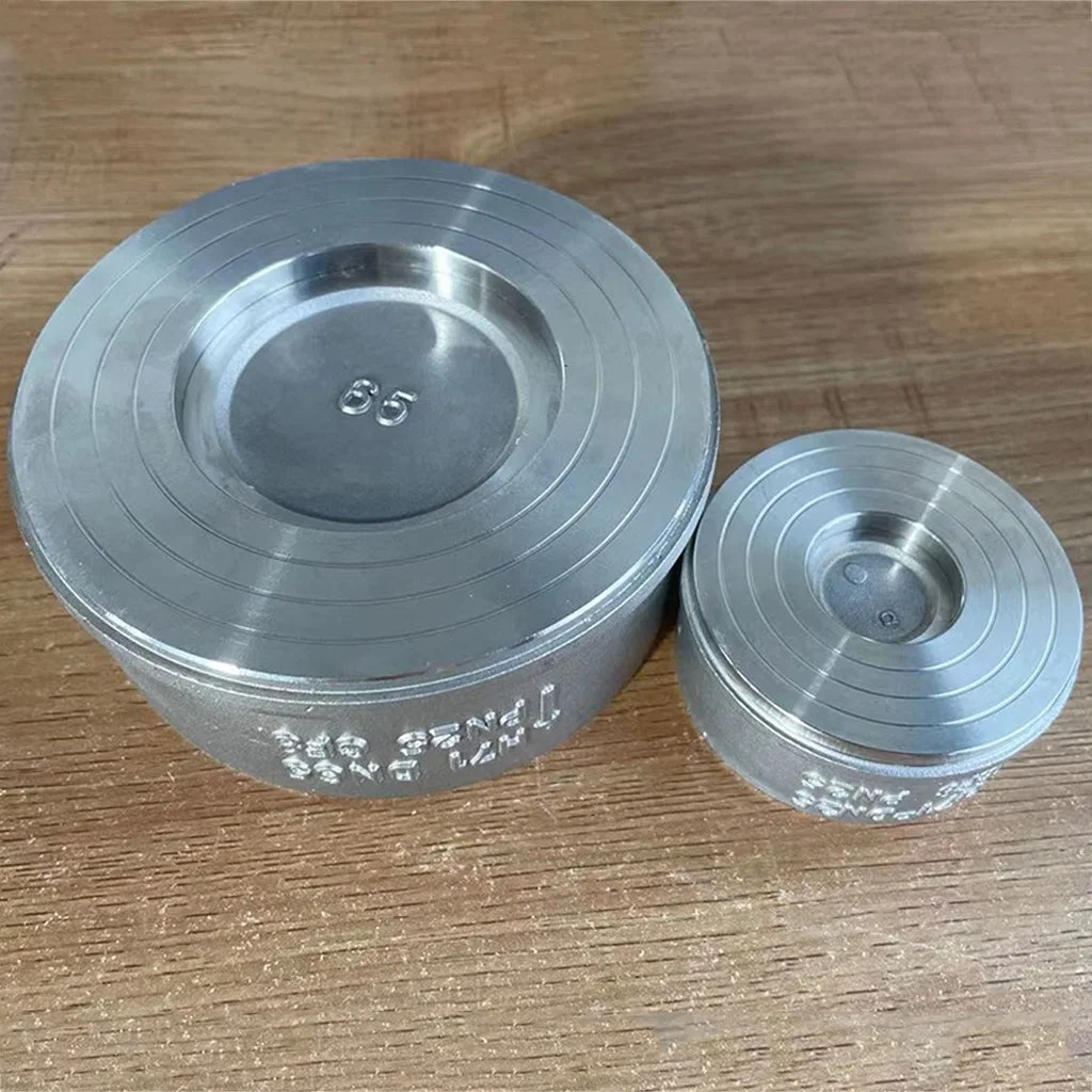 SS304 Stainless Steel 316 Wafer Type Single Door Swing Check Valve