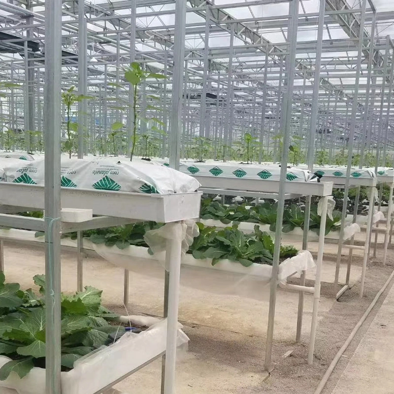 High-Permeability Sealing/Single-Layer Toughening/Flowers/Vegetables/Fruits/Planting/Farm Glass Greenhouse