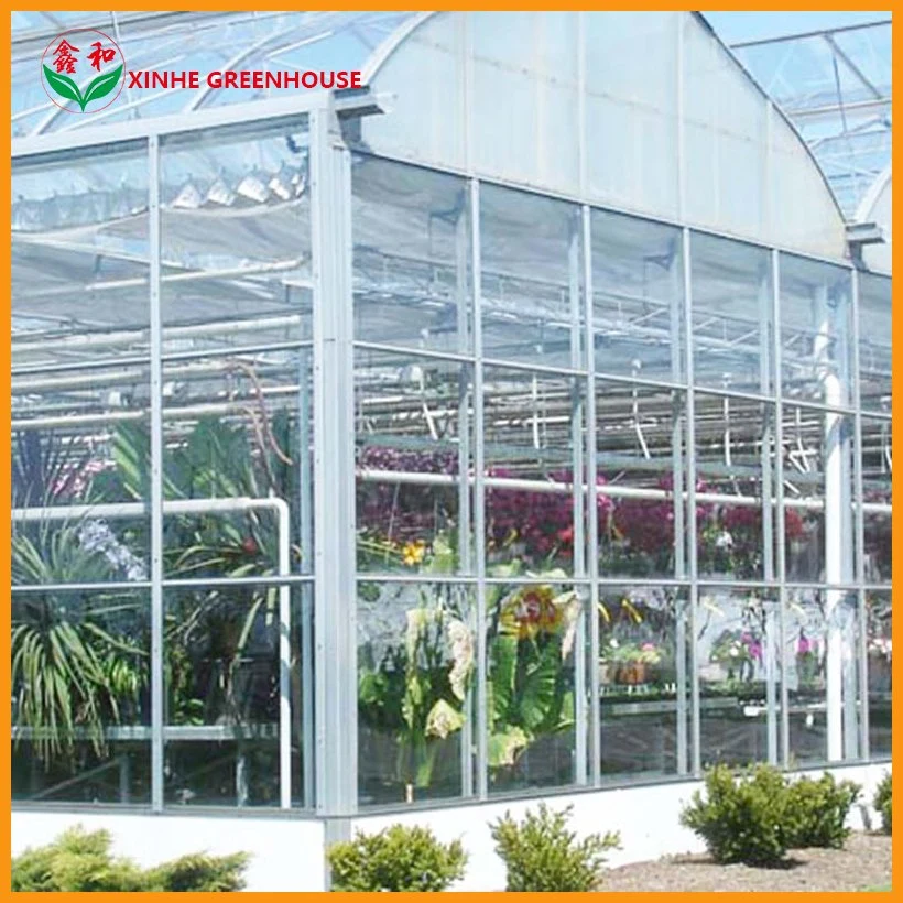 High quality/High cost performance Large Xinhe Customized Container House Prefab Prefabricated Float Glass Greenhouse