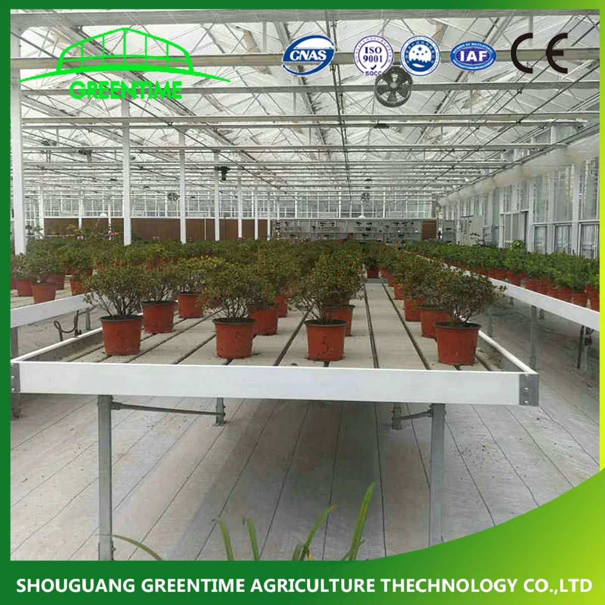 نمو النبات ABS زراعة صينية فيضان بلاستيك بيضاء مقعد العمل متغير التلفولي لطاولة النظام Hydroponic Rolling