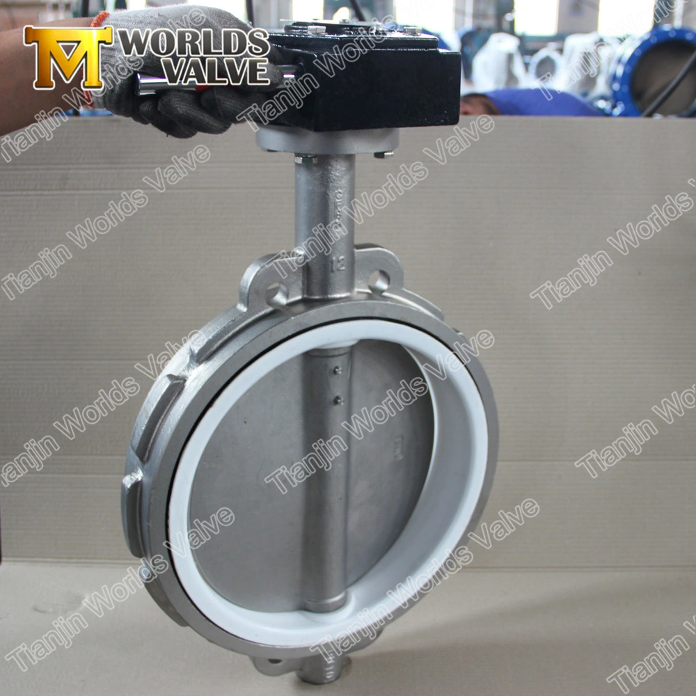 Saf2205 Saf2507 1.4529 1.4469 1.4462 1.4408 CF3 CF3m F53 F55 Ss Duplex Stainless Steel Lever Butterfly Valves Check Valve From Tianjin Worlds Valve Factory