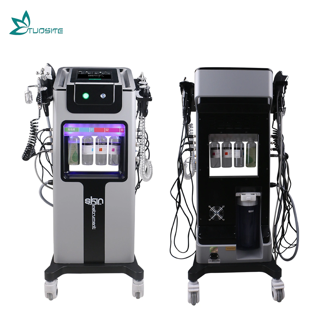 Beauty Salon Equipment 9 in 1 Smart Multifunktions-Gesichtsbehandlung Schönheit Maschine