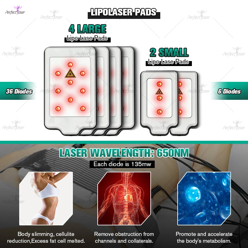 360 Cryolipolysis Slimming Fat Gel Gel de la perte de poids à vide Cryo Lipo laser thérapie Lipolaser RF du système de cavitation Cool Body Sculpting Machine de beauté