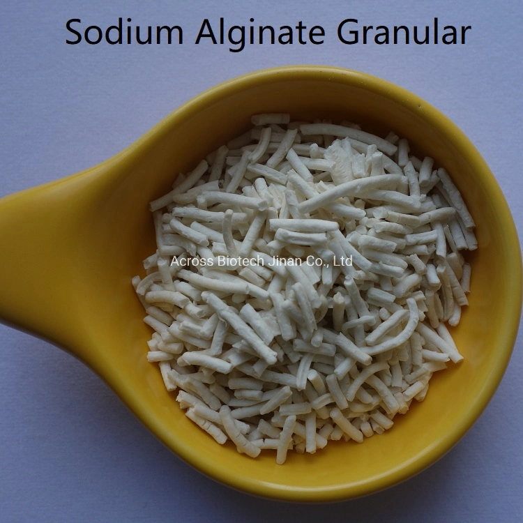 Alginato de sodio de grado alimentario de polvo y granular para gelatina, pudines, jamones, productos lácteos