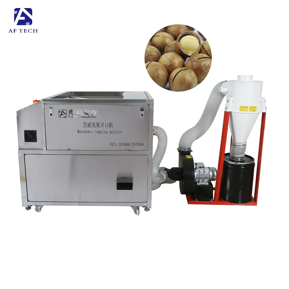 Snack Food Processing Plant Macadamia Nut Opening Crackers Tapping Machine